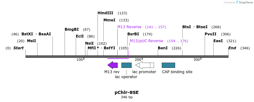80780_map
