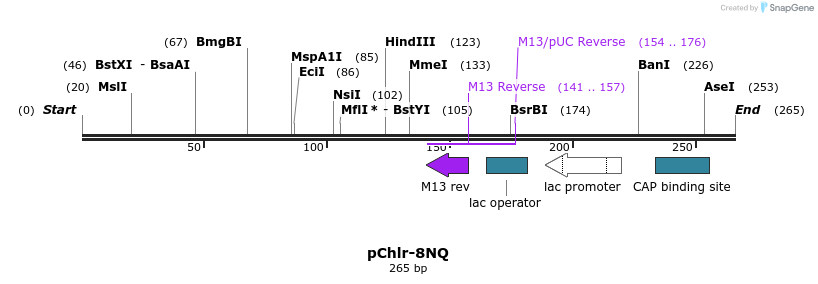 80781_map