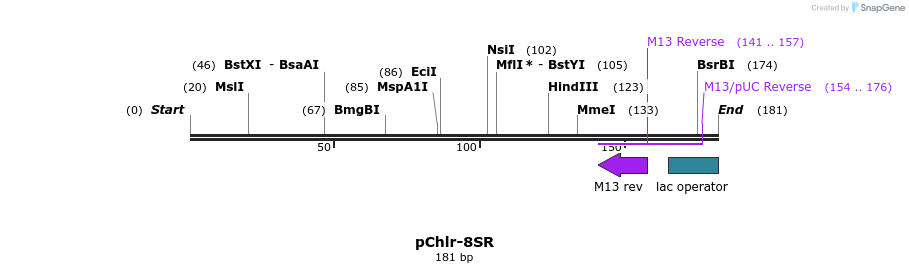 80782_map