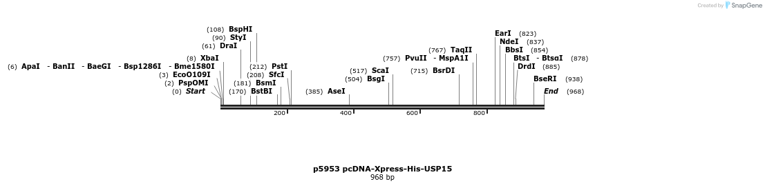 80783_map