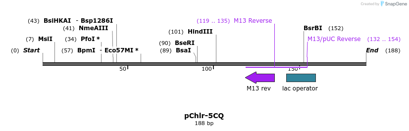 80784_map