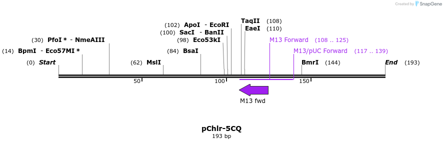80785_map