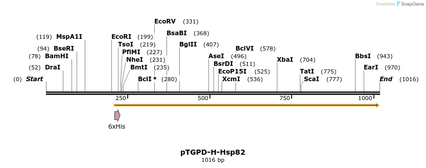 80786_map