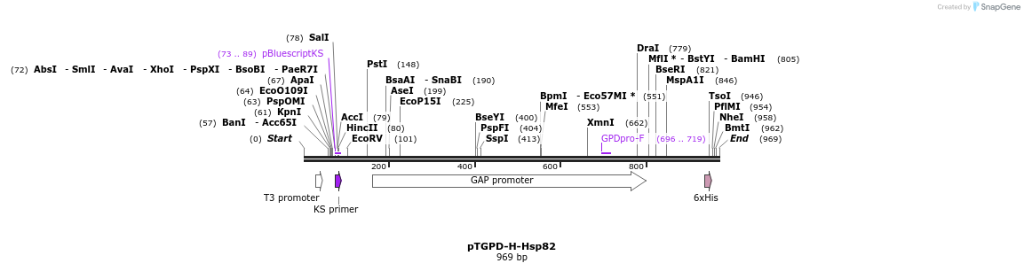 80787_map