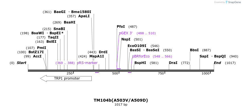 80788_map