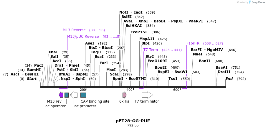 80789_map