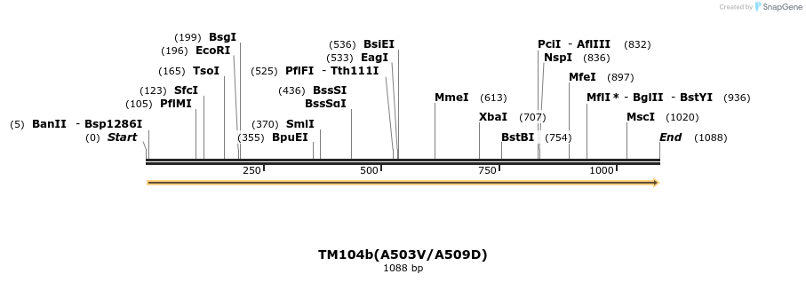 80791_map