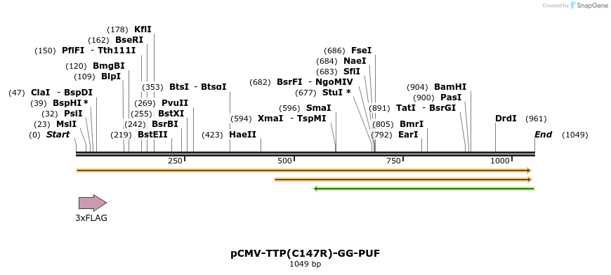 80792_map