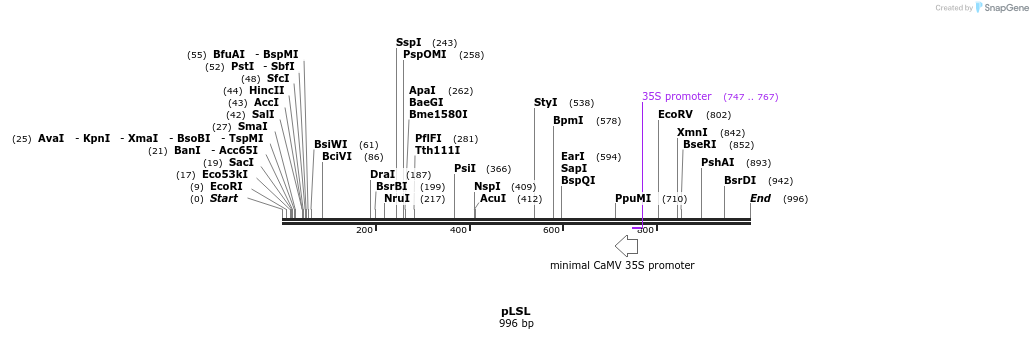 80793_map