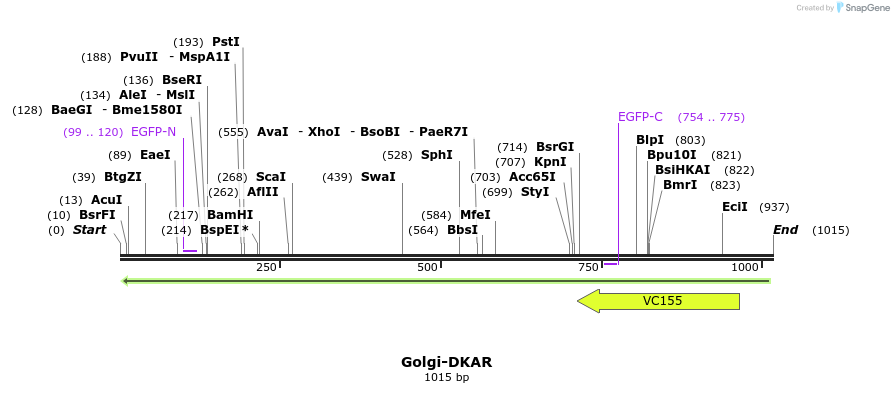 80795_map