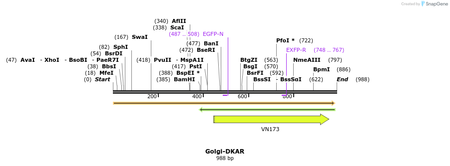 80796_map