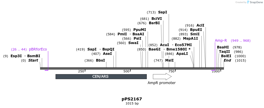 80797_map
