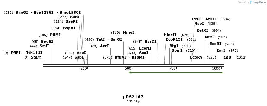 80798_map