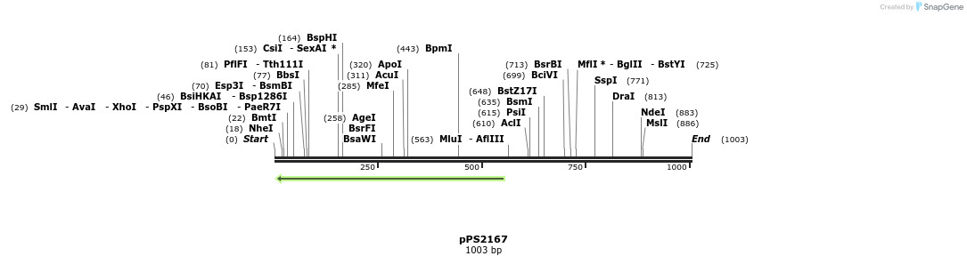 80799_map