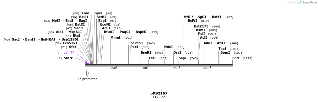 80800_map