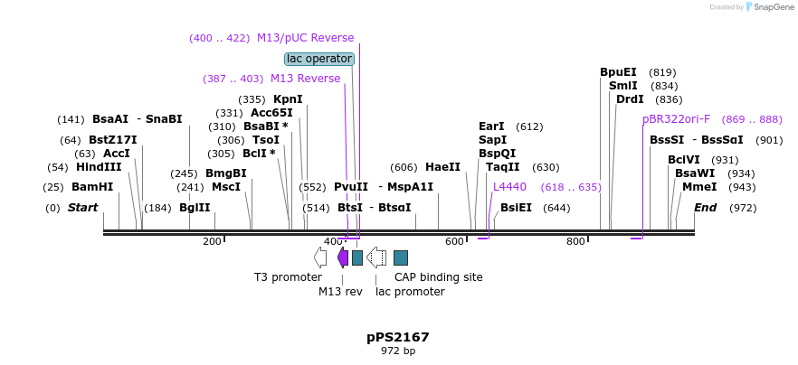 80801_map