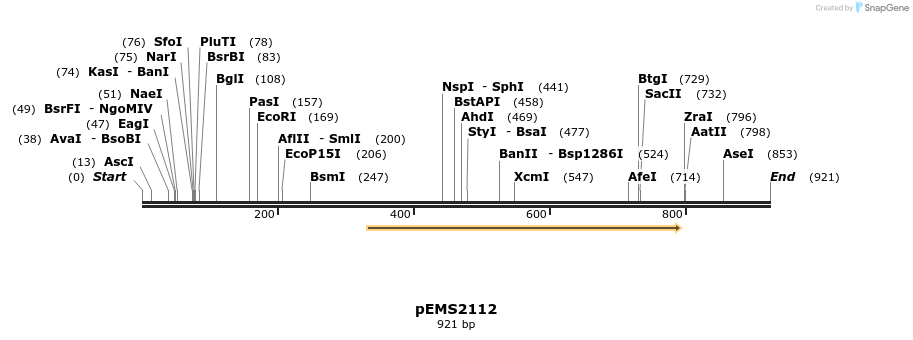 80845_map