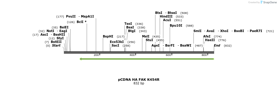 80846_map