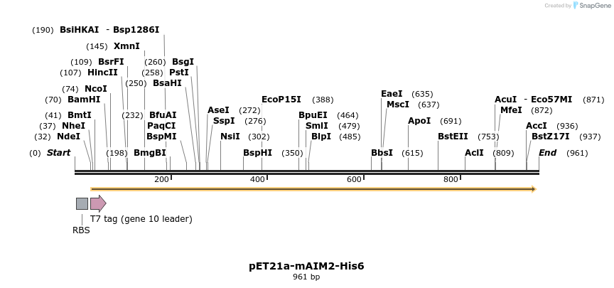 80852_map