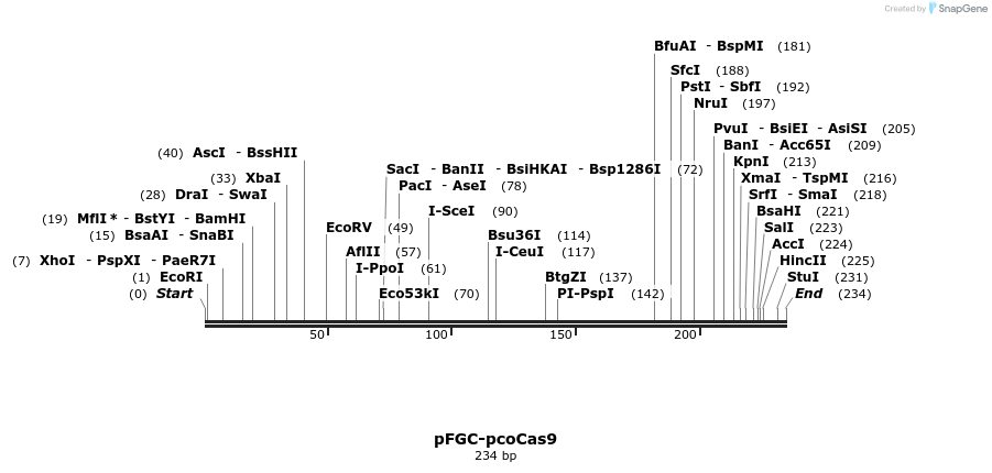 80853_map