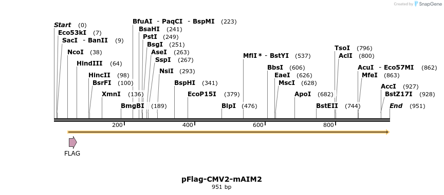 80854_map