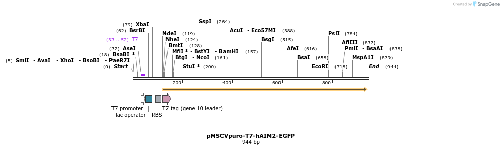 80855_map