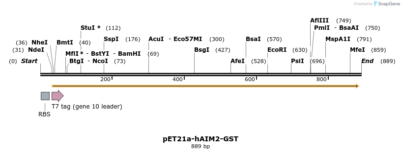 80859_map