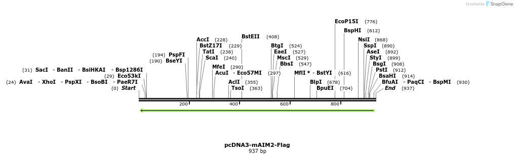 80860_map