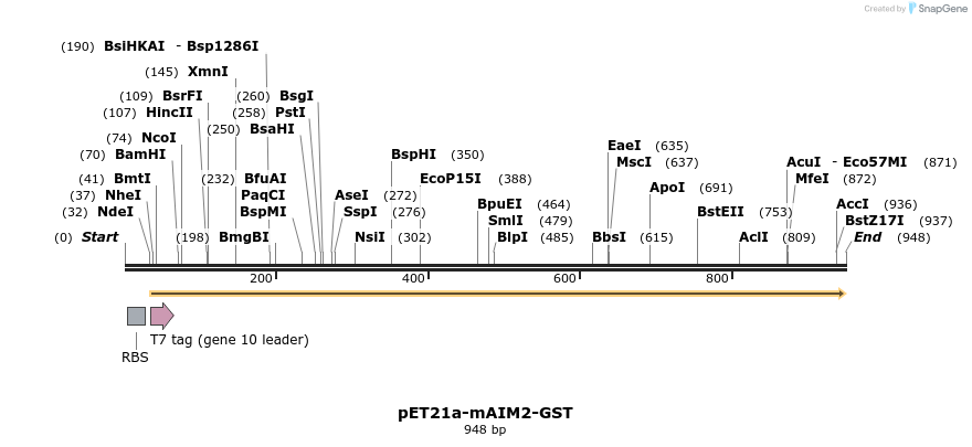 80861_map