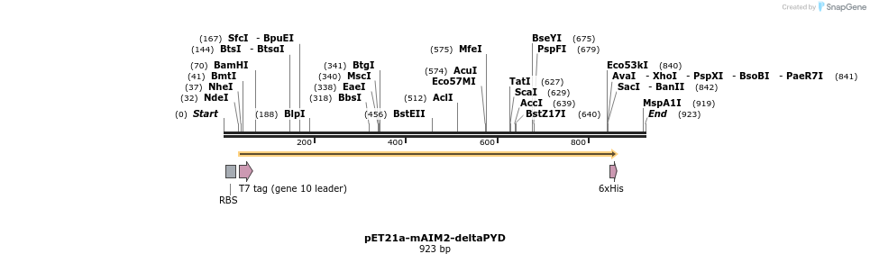 80862_map