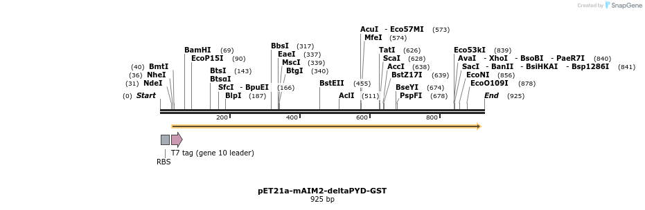 80863_map