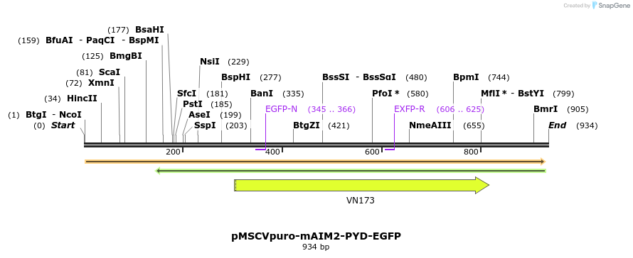 80864_map