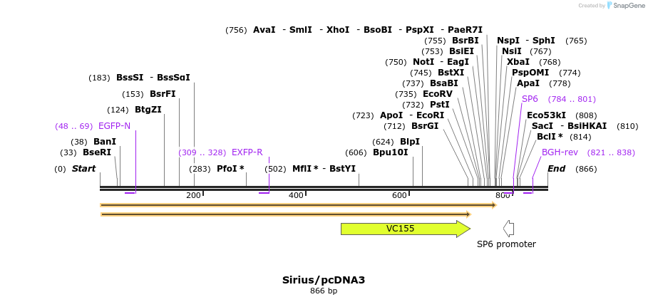 80865_map
