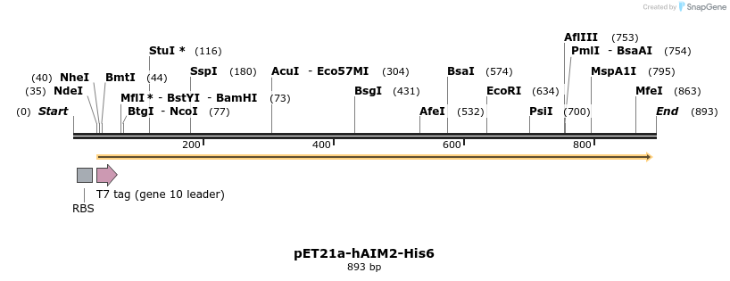 80866_map