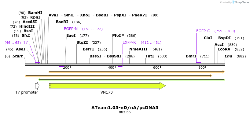 80867_map