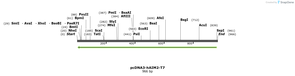 80868_map