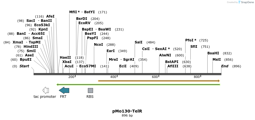 80869_map