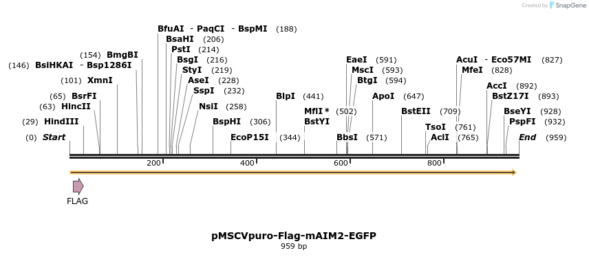 80871_map