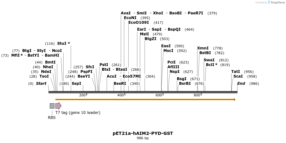 80872_map