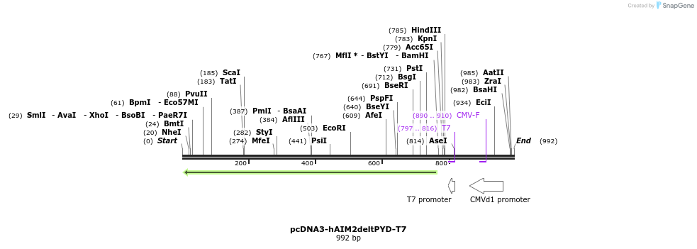 80873_map