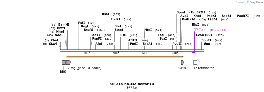 80874_map