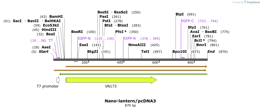 80876_map