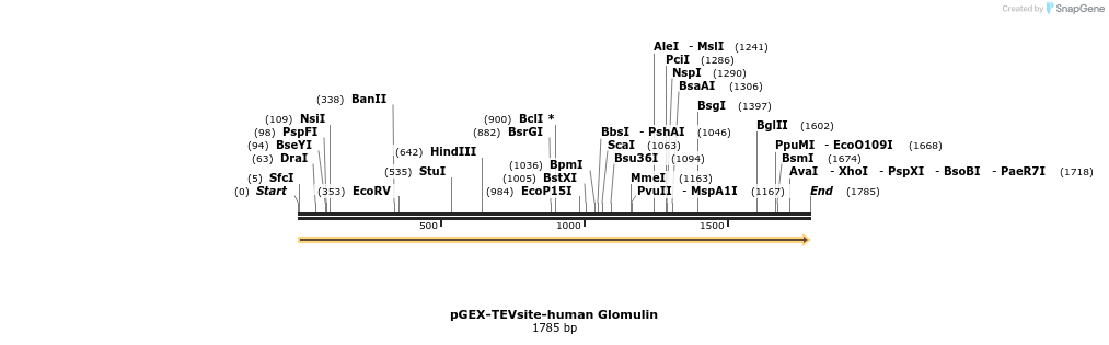 80877_map
