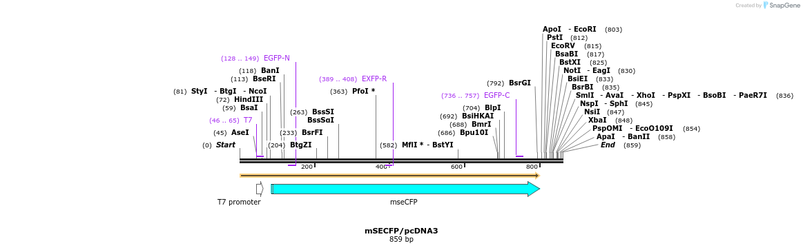 80879_map