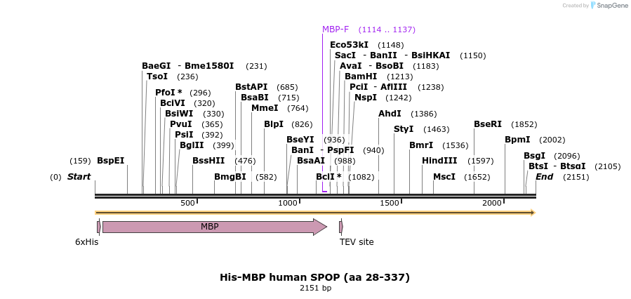 80880_map