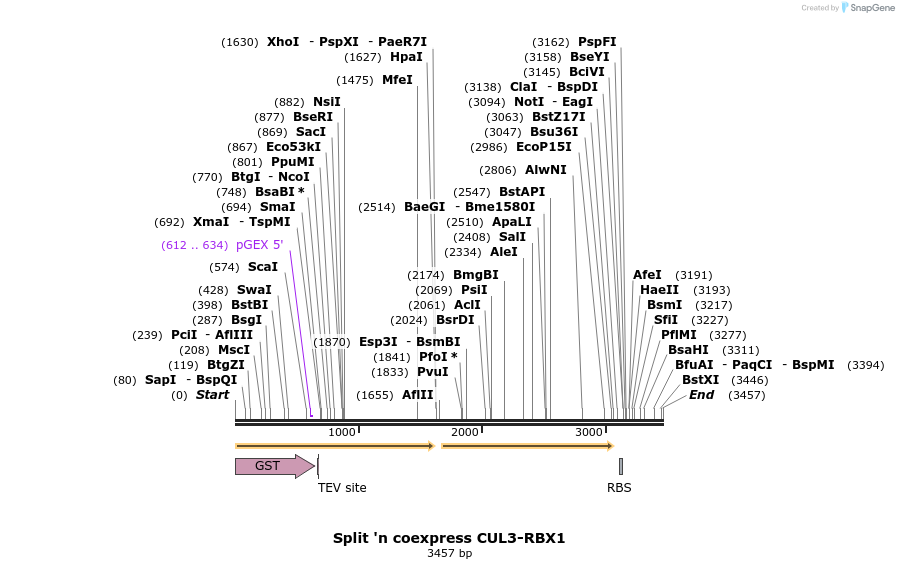 80886_map