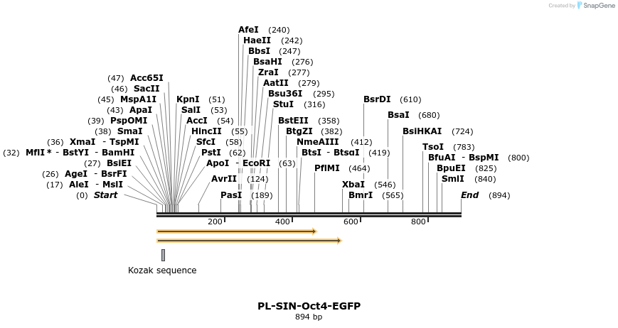 80888_map