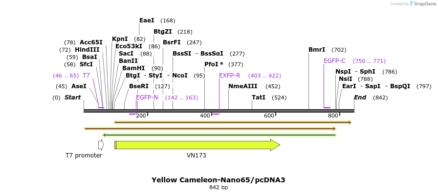80890_map