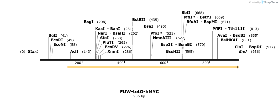 80892_map