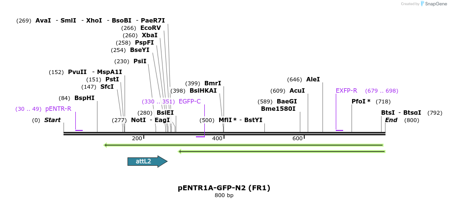 80893_map